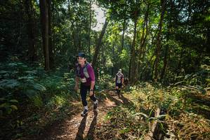 BIB: 
                            <button type="button" onclick="openModal(22544809)" class="btn btn-primary btn-sm float-right btn-popup" data-toggle="modal" data-target=".modal-high-quality">
                        <i class="fas fa-shopping-cart"></i> Add to Cart
                    </button>
                                            <button type="button" onclick="isThisMe(22544809, true)" class="btn btn-success btn-sm float-right btn-popup btn-isme hidden" data-toggle="tooltip" data-placement="bottom" title="นี่คือรูปของคุณใช่ไหม คลิกที่นี่เพื่อเอาเข้าอัลบั้ม">
                        <i class="fas fa-plus"></i> Add to album
                    </button>
                    <button type="button" onclick="isThisMe(22544809, false)" class="btn btn-warning btn-sm float-right btn-popup btn-isnotme hidden">
                        <i class="fas fa-ban"></i> Remove from album
                    </button>